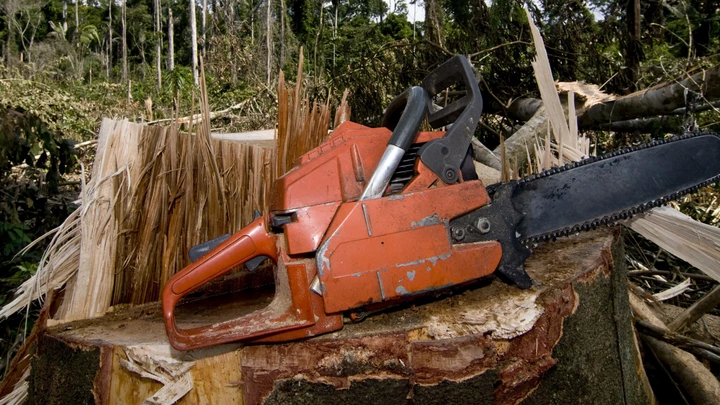 Documento emitido por ex-PM nomeado pelo ministro do Meio Ambiente para comandar o Ibama no Pará beneficia empresa que exportou sem licença cinco contêineres de madeira.