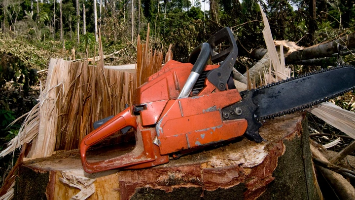 Documento emitido por ex-PM nomeado pelo ministro do Meio Ambiente para comandar o Ibama no Pará beneficia empresa que exportou sem licença cinco contêineres de madeira. Documento emitido por ex-PM nomeado pelo ministro do Meio Ambiente para comandar o Ibama no Pará beneficia empresa que exportou sem licença cinco contêineres de madeira.