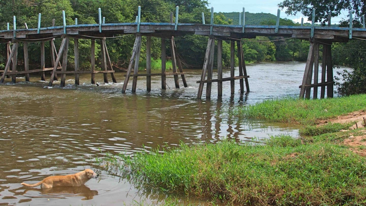 Parte final do Rio Arrojado flui a 40 litros por segundo na estação seca o que deveria ocorrer na época chuvosa, segundo ambientalista.