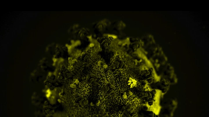 Coronavírus: como vencer o capitalismo que se abastece de desastres? Coronavírus: como vencer o capitalismo que se abastece de desastres?