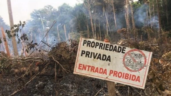 Área de reserva legal desmatada ilegalmente em terras adjacentes ao PDS Virola-Jatobá Área de reserva legal desmatada ilegalmente em terras adjacentes ao PDS Virola-Jatobá