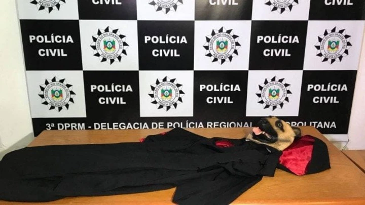 Como um delegado usou testemunhas falsas para ligar a morte de crianças a um ritual satânico Como um delegado usou testemunhas falsas para ligar a morte de crianças a um ritual satânico
