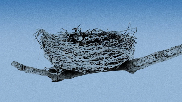 Ilustração: Denise Matsumoto/O Joio e o Trigo Ilustração: Denise Matsumoto/O Joio e o Trigo