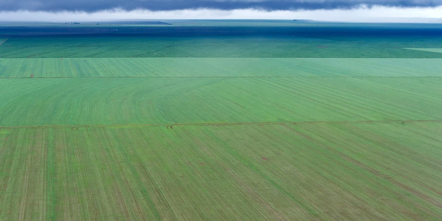 Aerial view of a soy bean field, in Campo Novo do Parecis, about 400km northwest from the capital city of Cuiaba, in Mato Grosso, Brazil, on March 27, 2012.   AFP PHOTO/Yasuyoshi CHIBA        (Photo credit should read YASUYOSHI CHIBA/AFP/GettyImages) Aerial view of a soy bean field, in Campo Novo do Parecis, about 400km northwest from the capital city of Cuiaba, in Mato Grosso, Brazil, on March 27, 2012.   AFP PHOTO/Yasuyoshi CHIBA        (Photo credit should read YASUYOSHI CHIBA/AFP/GettyImages)