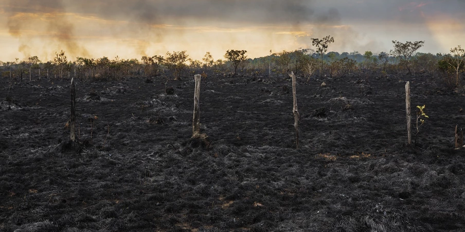 Área de pasto queimado às margens da BR-319 próxima a Humaitá, cidade ao sul do Amazonas. Área de pasto queimado às margens da BR-319 próxima a Humaitá, cidade ao sul do Amazonas.