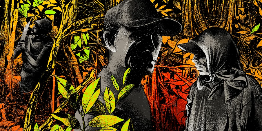 Bilionários, políticos, paulistas, estrangeiros, reincidentes contumazes: aqui estão os 25 maiores destruidores da Amazônia Bilionários, políticos, paulistas, estrangeiros, reincidentes contumazes: aqui estão os 25 maiores destruidores da Amazônia