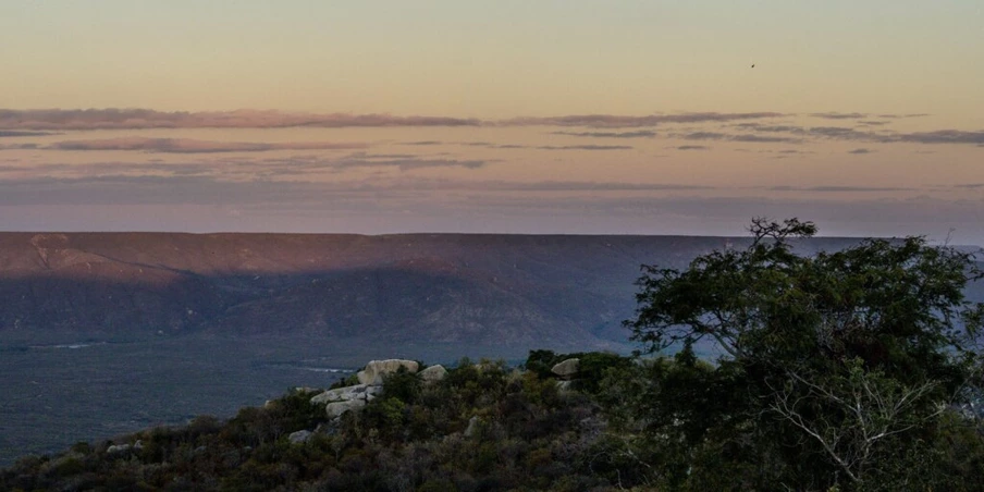Projeto de energia eólica ameaça destruir passado e futuro do Brasil numa tacada só Projeto de energia eólica ameaça destruir passado e futuro do Brasil numa tacada só