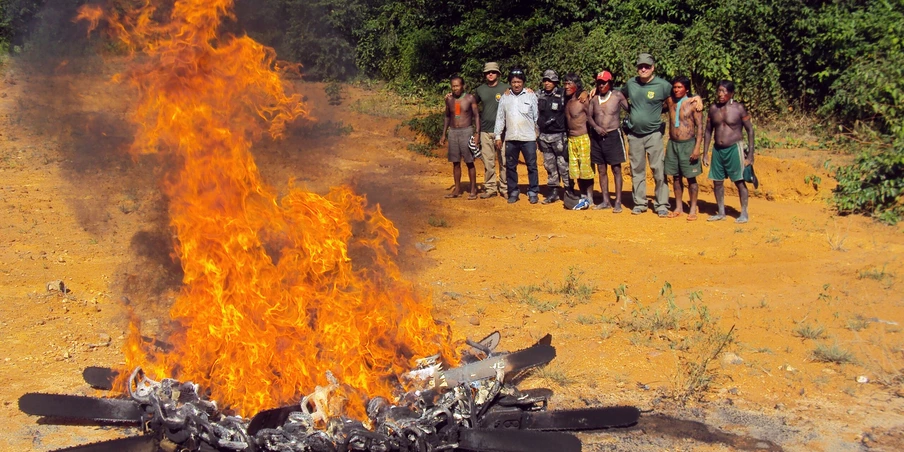 A saga da Famiglia Vilela, os maiores pecuaristas e destruidores de florestas do Brasil