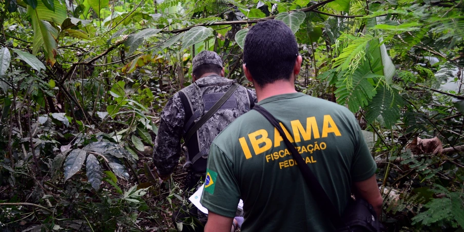 Fiscalização de desmatamento na Floresta Nacional do Jamanxim em Novo Progresso, Pará. Fiscalização de desmatamento na Floresta Nacional do Jamanxim em Novo Progresso, Pará.