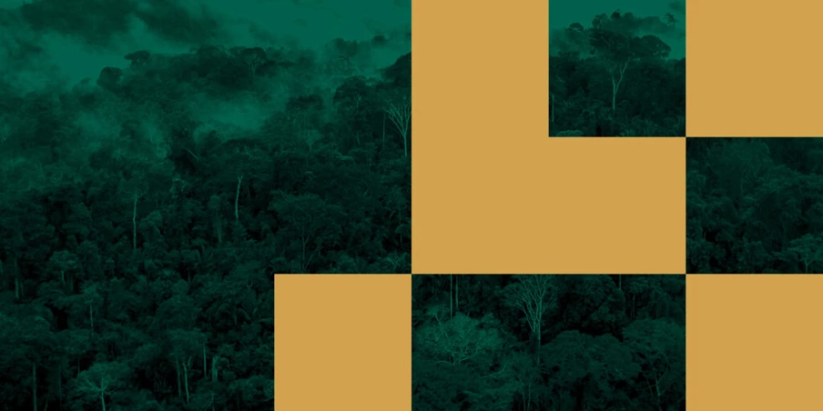 Gana Gold tem licença para operação de pequeno porte, mas possui maquinário pesado e faturou R$ 1,1 bilhão desde 2020. PF investiga a empresa. Gana Gold tem licença para operação de pequeno porte, mas possui maquinário pesado e faturou R$ 1,1 bilhão desde 2020. PF investiga a empresa.