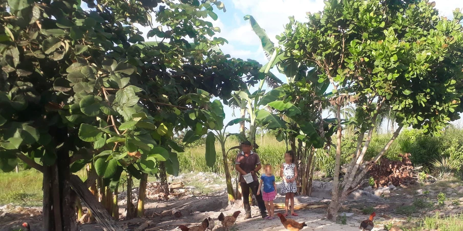 Cerca de 300 pessoas vivem na gleba Pelissioli, onde criam galinhas, gado, produzem leite e plantam para subsistência.