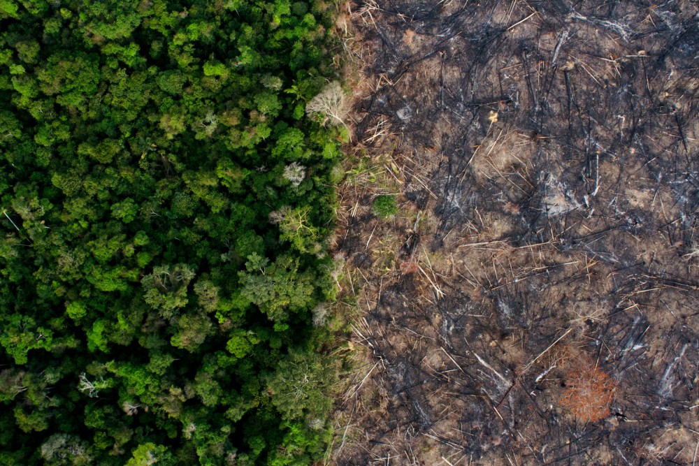 deforestation-aerial-1562186048-1562361243